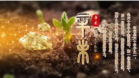 辰庫|八字命理講堂——財庫使用指南